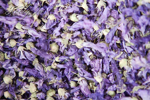 Dried Flowers