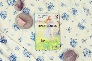 Ladybird Books for Grown-ups | Kelly Jo Photography