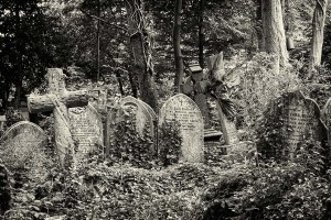Highgate Cemetery | © Kelly Jo Photography