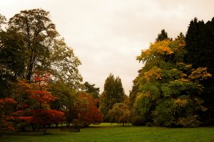 Autumn Colours | © Kelly Jo Photography