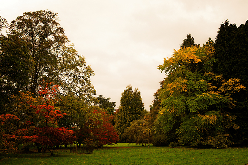 Autumn Colours | © Kelly Jo Photography